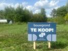 Rotselaar (Werchter)