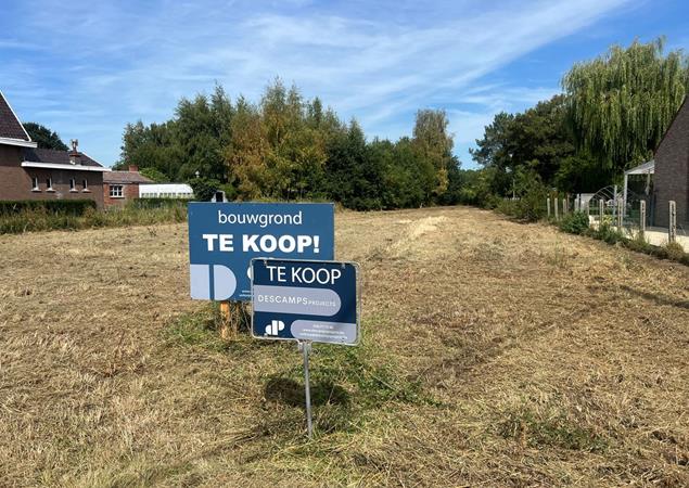 Rotselaar (Werchter)